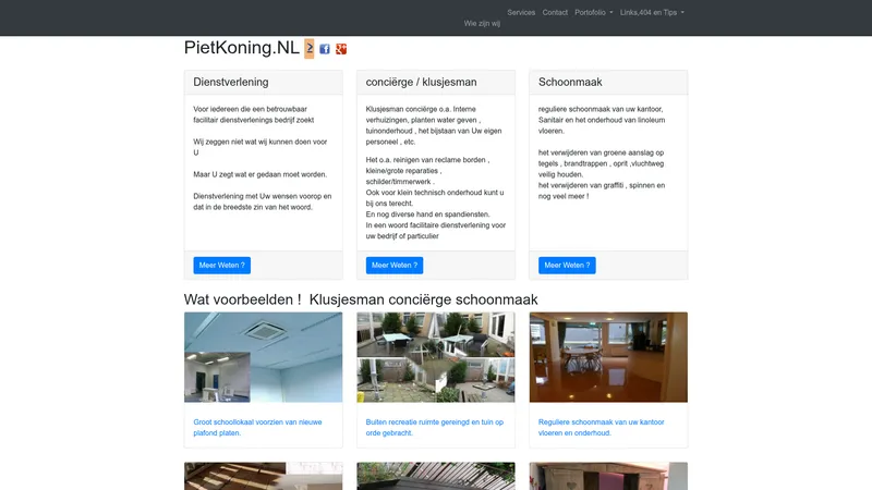 Website van pietkoning dienstverlening